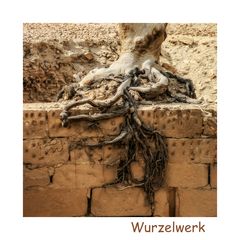 Wurzelwerk