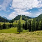 Wurzeralm an einem sonnigen Tag