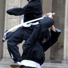 Wushu