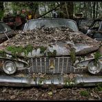 Car Graveyard