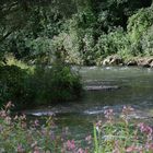 Wutach am Hochrhein