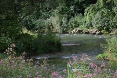 Wutach am Hochrhein