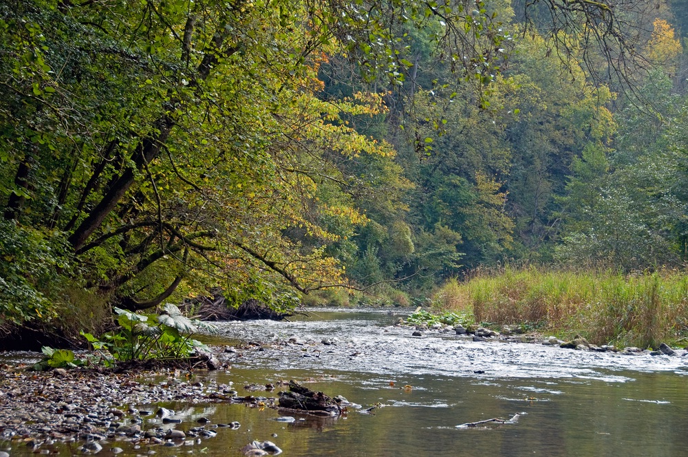 Wutach Flühe