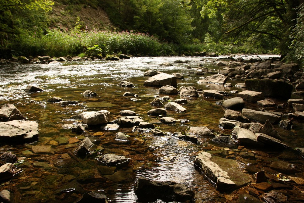 Wutach-Schlucht