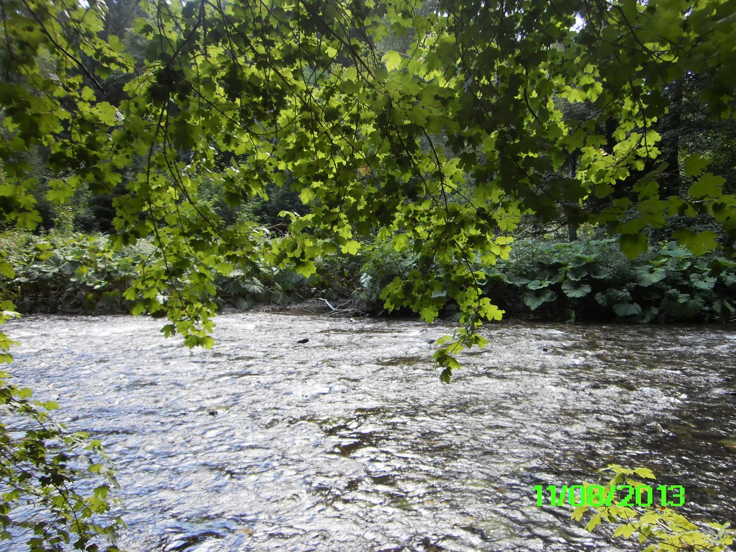 Wutach- Schlucht