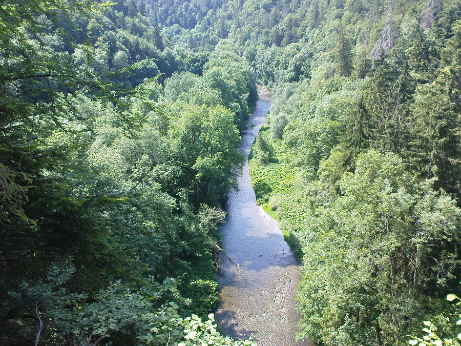 Wutachschlucht