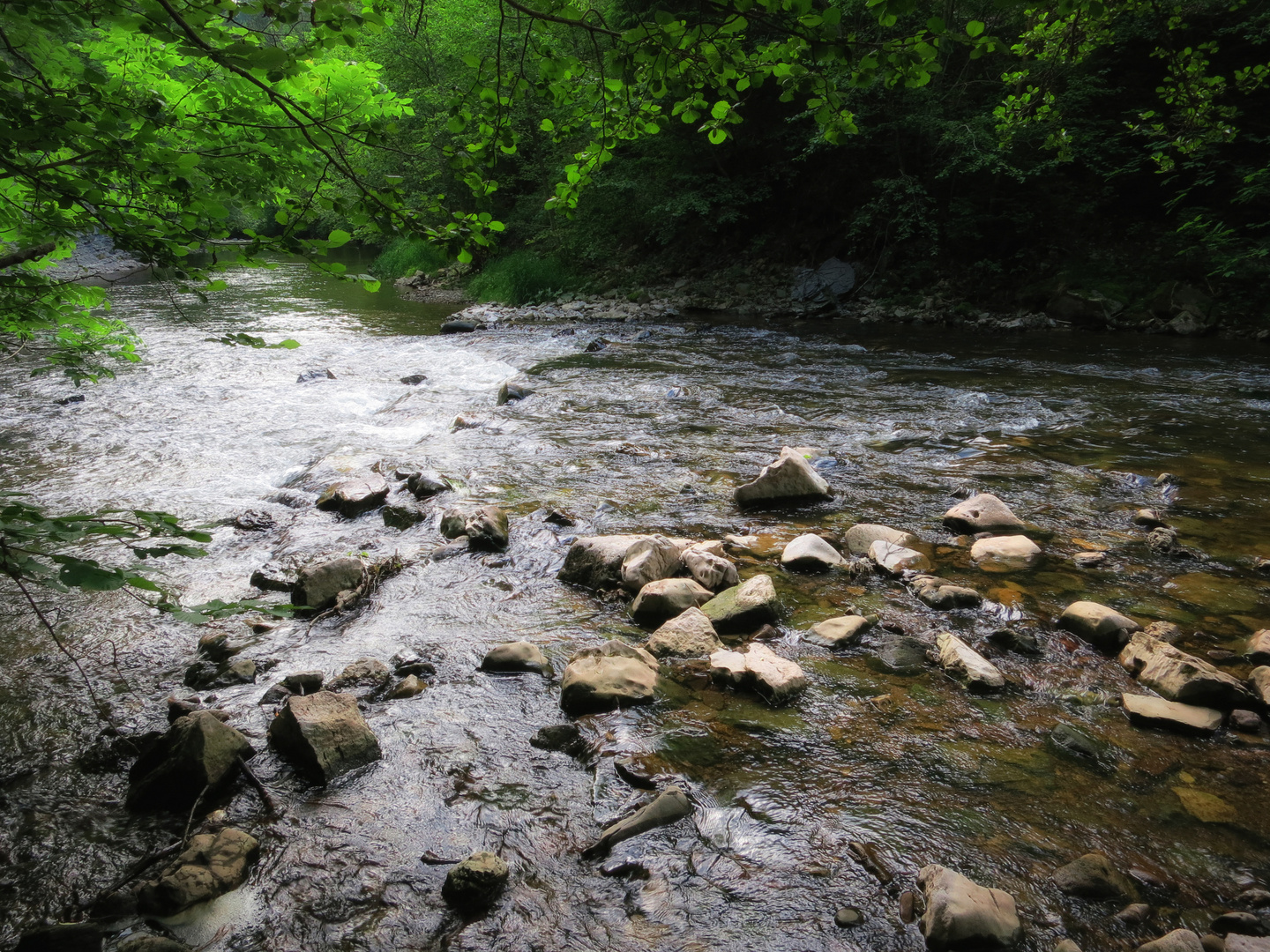 Wutachschlucht