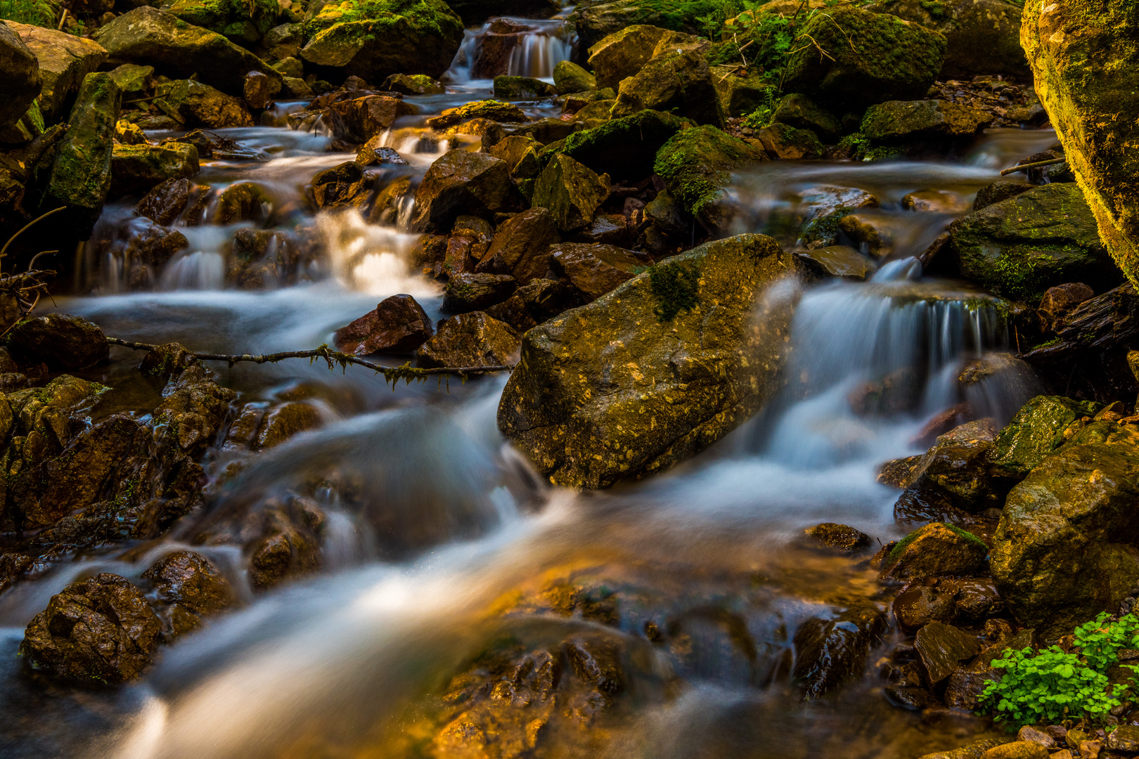 Wutachschlucht