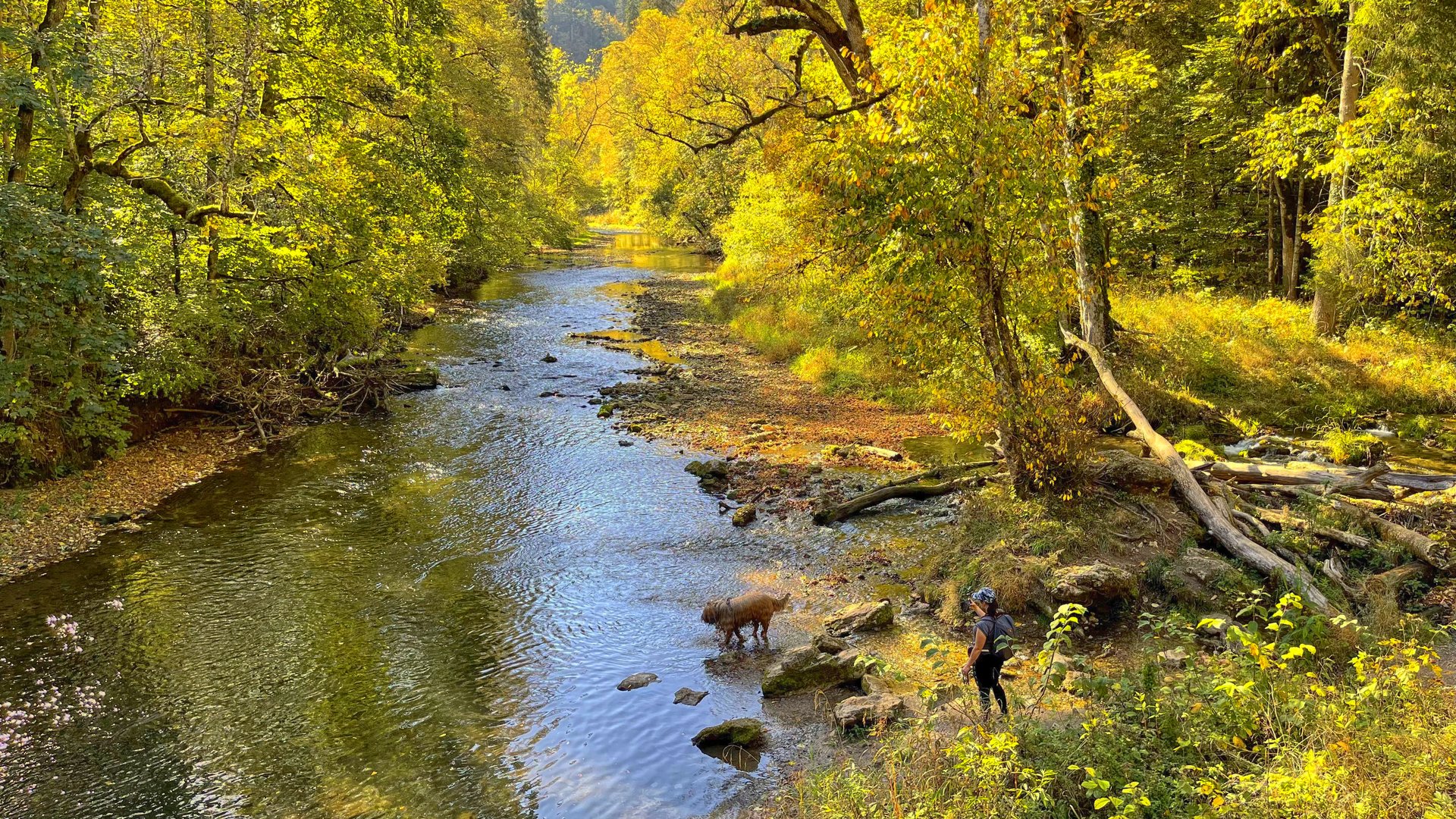 Wutachschlucht