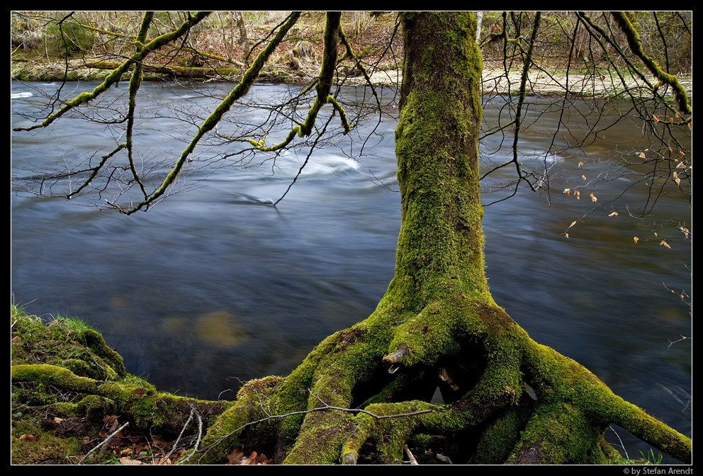 Wutachschlucht