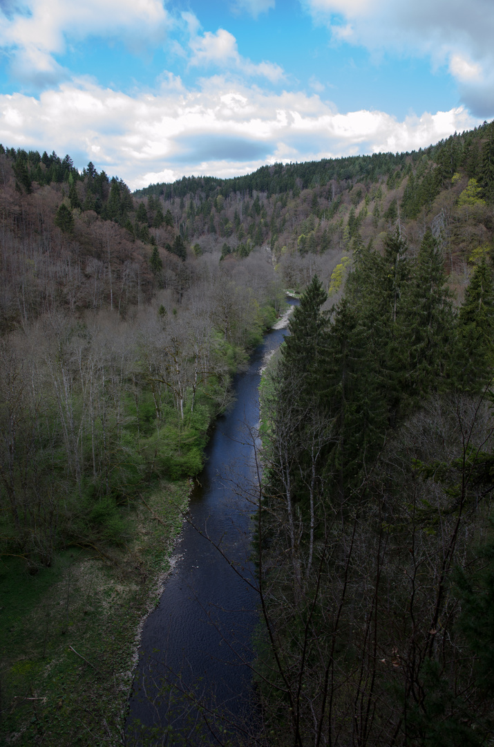 Wutachschlucht im Scharzwald