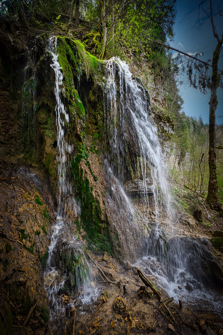 Wutachschlucht, Schwarzwald 