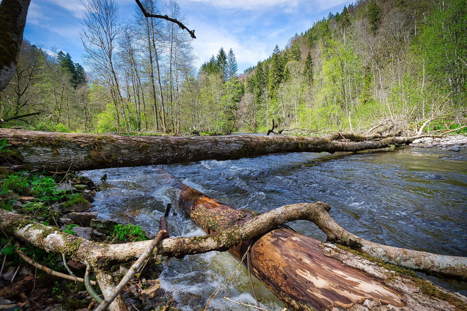 Wutachschlucht, Schwarzwald 