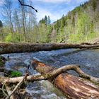 Wutachschlucht, Schwarzwald 