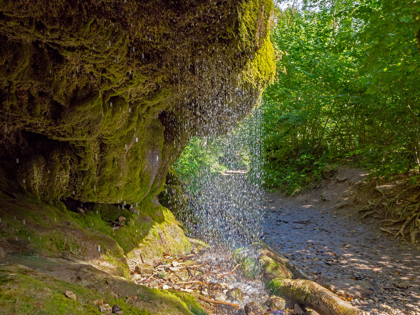 Wutachschlucht (Schwarzwald)