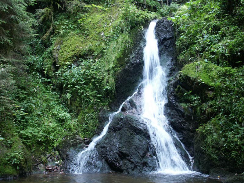 Wutachtal / Schwarzwald