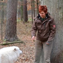 WW 2/9 - Beim plötzlichen Erscheinen eines Wolfs, z.B. beim Einkauf in der Stadt, . . .