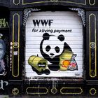 WWF Reloaded #0209