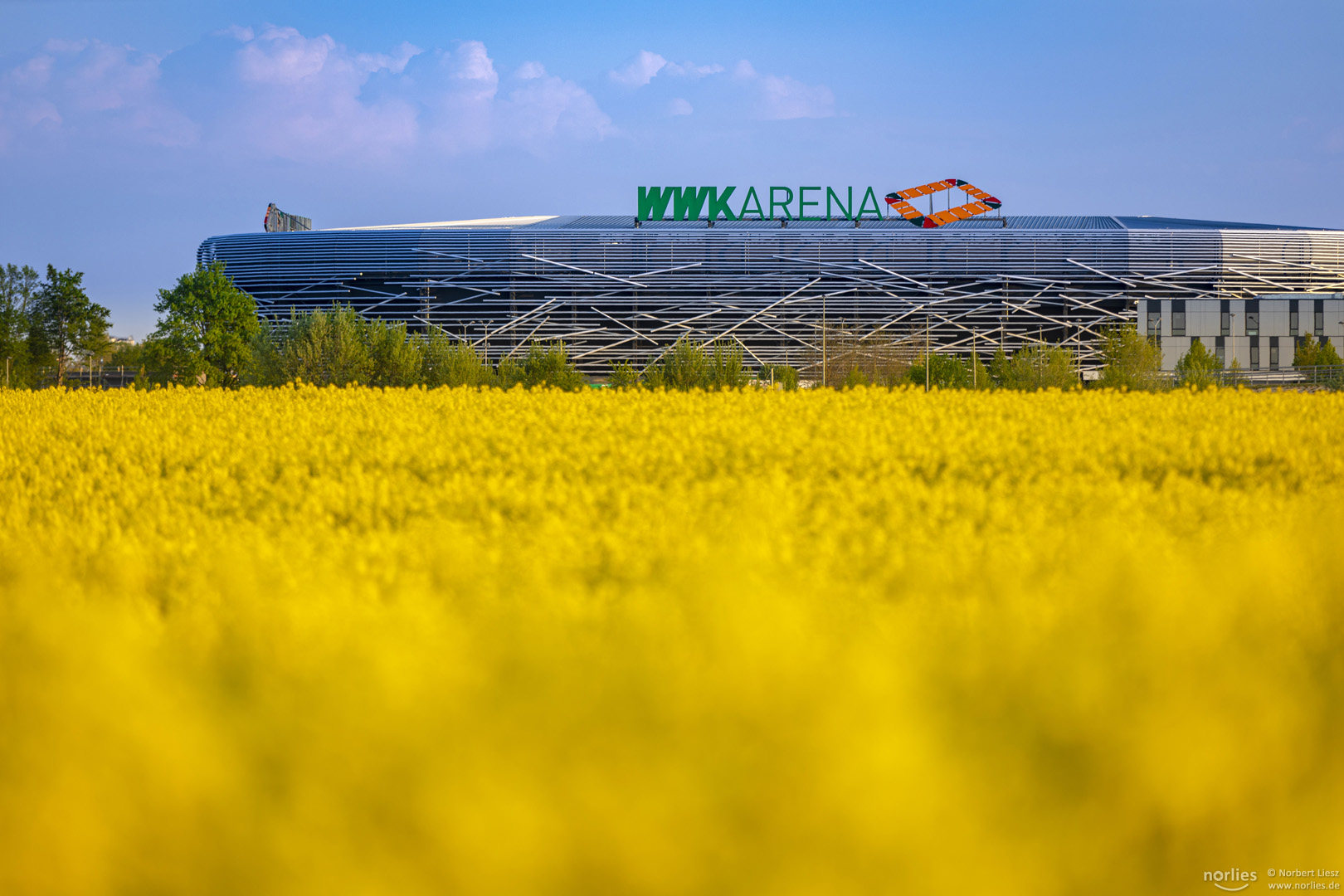 WWK Arena mit Rapsfeld