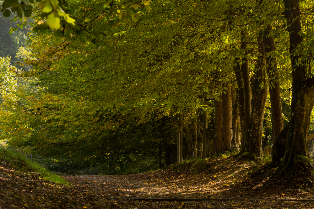 WWPW2015 Landsberg