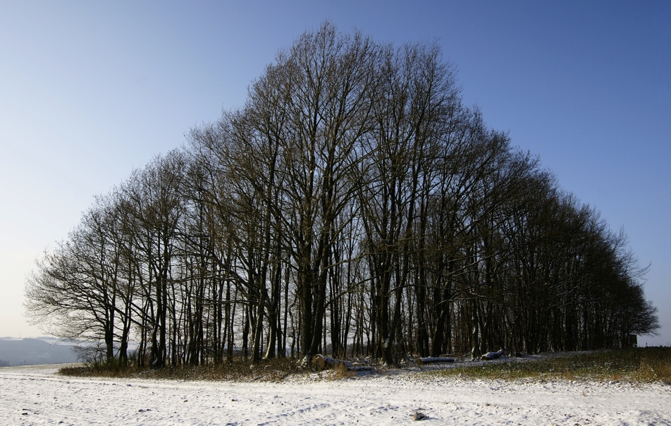 WWW - Westerwald Winter . . .