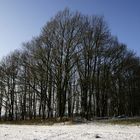 WWW - Westerwald Winter . . .