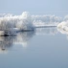 www Winter an den Wümmewiesen punkt hb