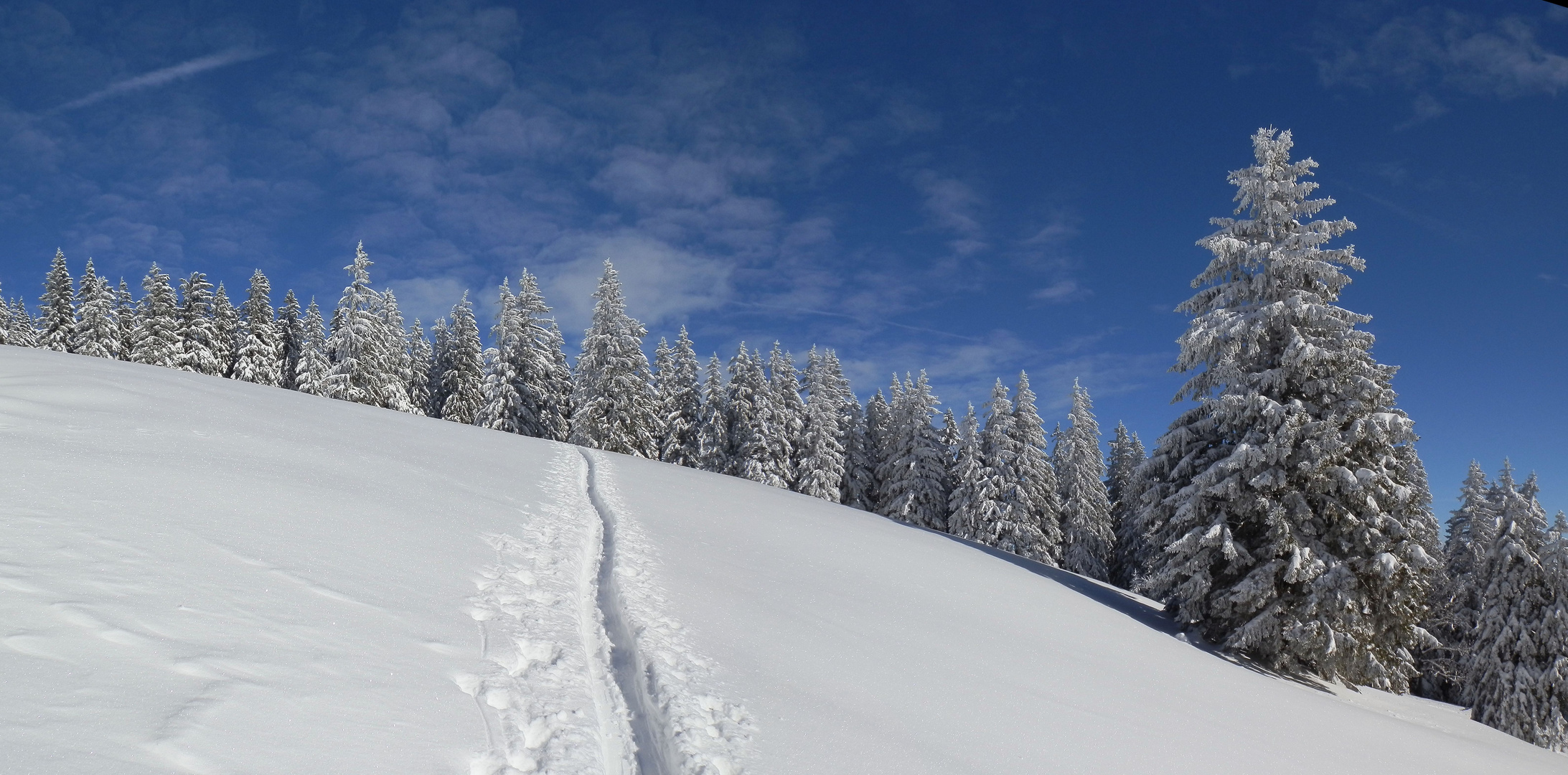 WWW= WinterWunderWelt