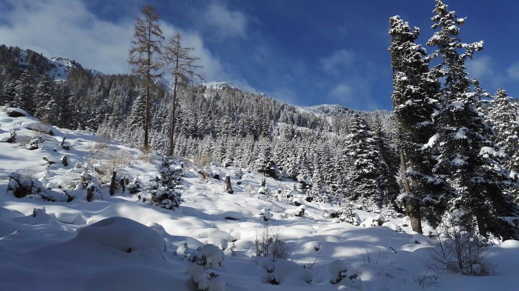 www = wunderschöne Winterwelt