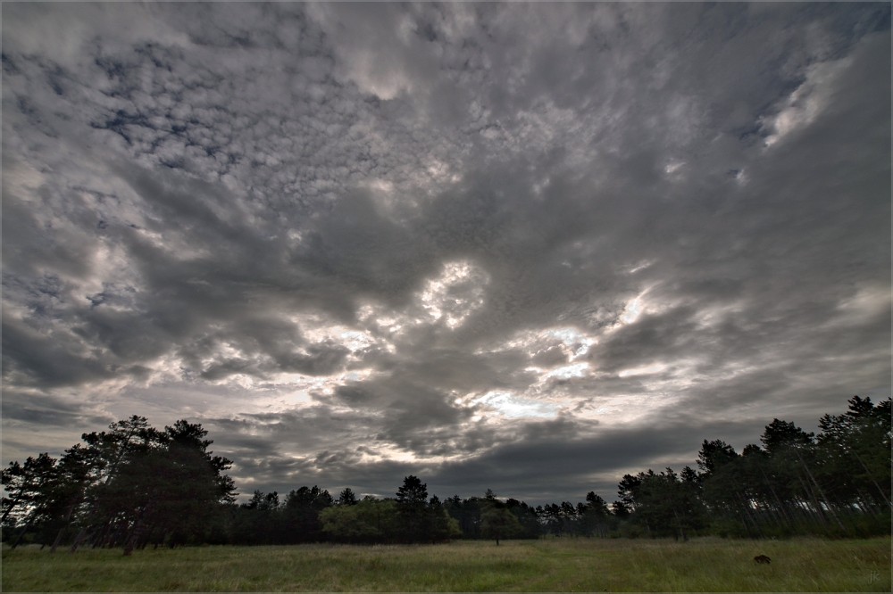 wwwolken