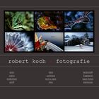 www.robert-ko.ch