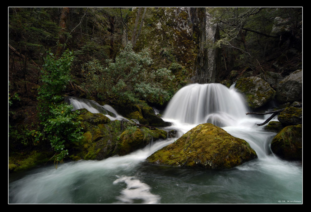 Wye Creek / Qeenstown Neuseeland