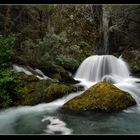 Wye Creek / Qeenstown Neuseeland