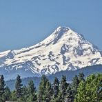 Wy'east (Mt. Hood)