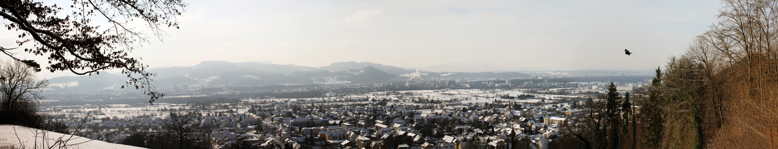 Wyhlen im Winterkleid