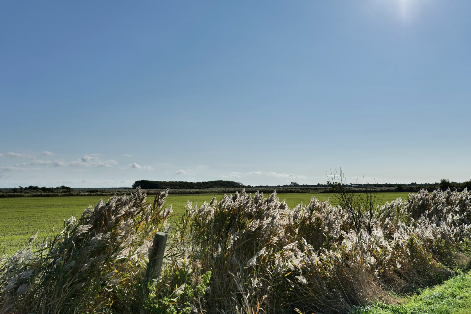 Wyk auf Föhr/Naturpark Wattenmeer