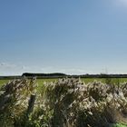 Wyk auf Föhr/Naturpark Wattenmeer