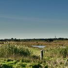 Wyk auf Föhr/Naturpark Wattenmeer