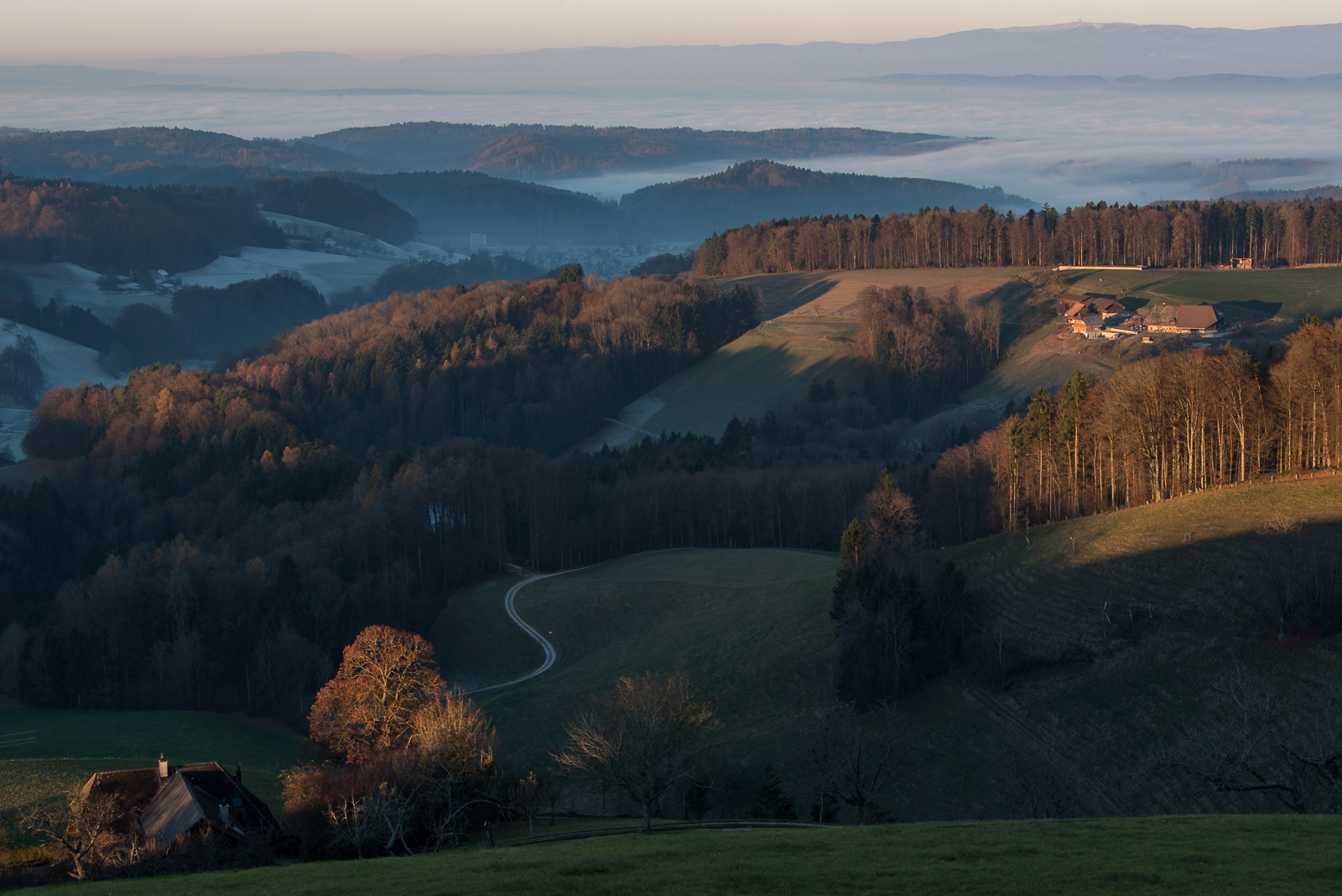 Wynigerberge