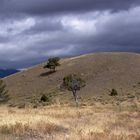 Wyoming im Herbst