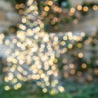 x-mas bokeh