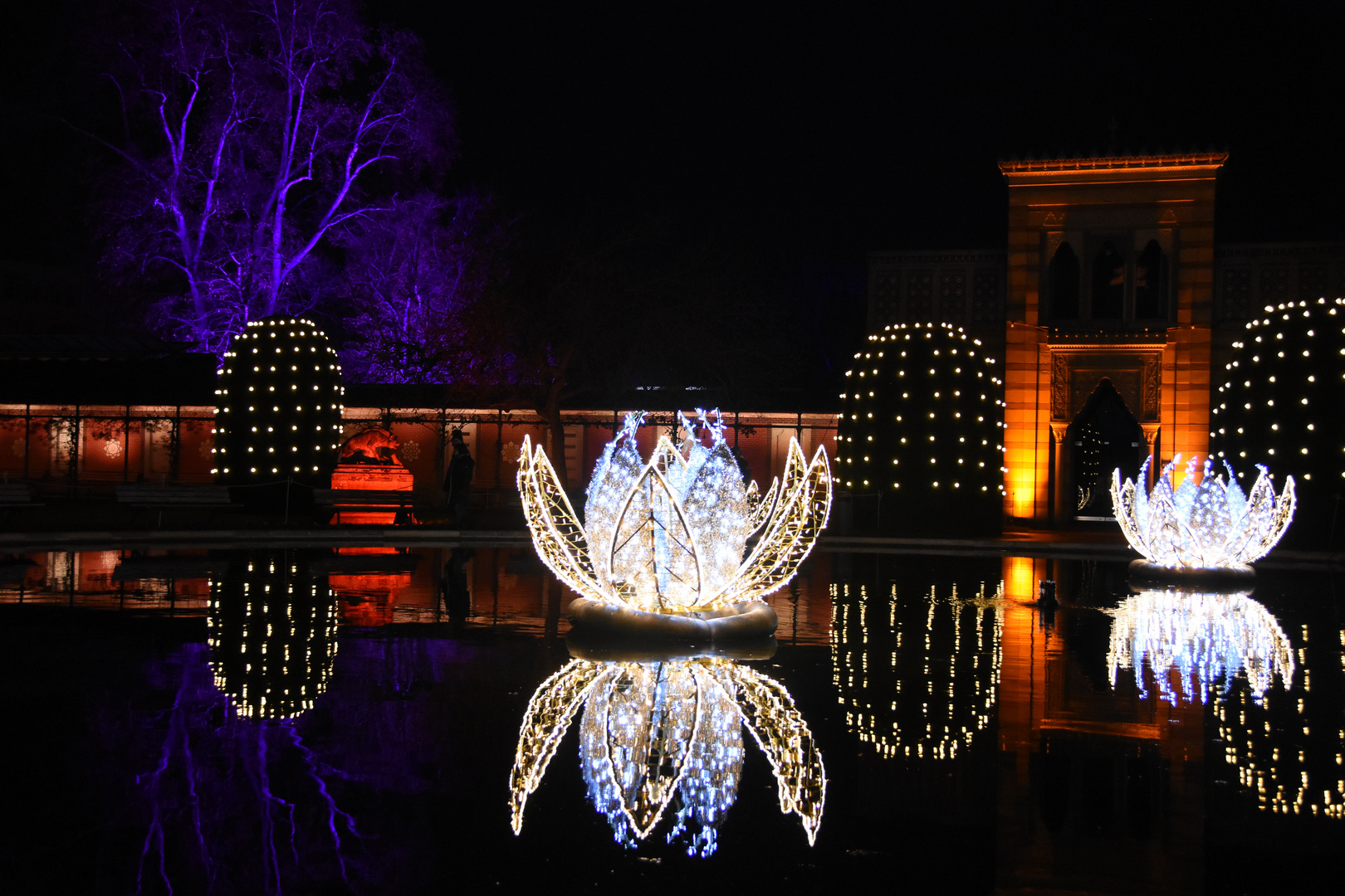 X-mas Garden Stuttgart