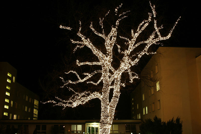 X-MAS Lichterbaum (10.12.2006)