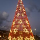 X-Mas Madeira