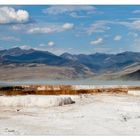 X-Mas-Wishes Mammoth Hot Springs