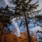 X Sky Clouds and Autumn 