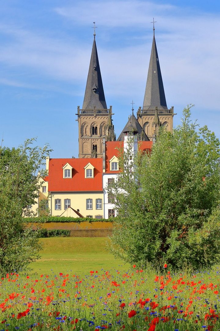 Xanten mit neuer Mohnwiese