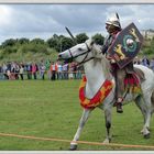 Xanten - Römerfest 2014 - Pferdewettikampfspiele - 2