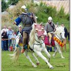 Xanten - Römerfest 2014 - Pferdewettkampfspiele - 3