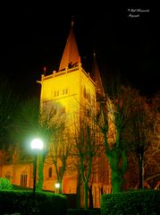 Xanten/Dom